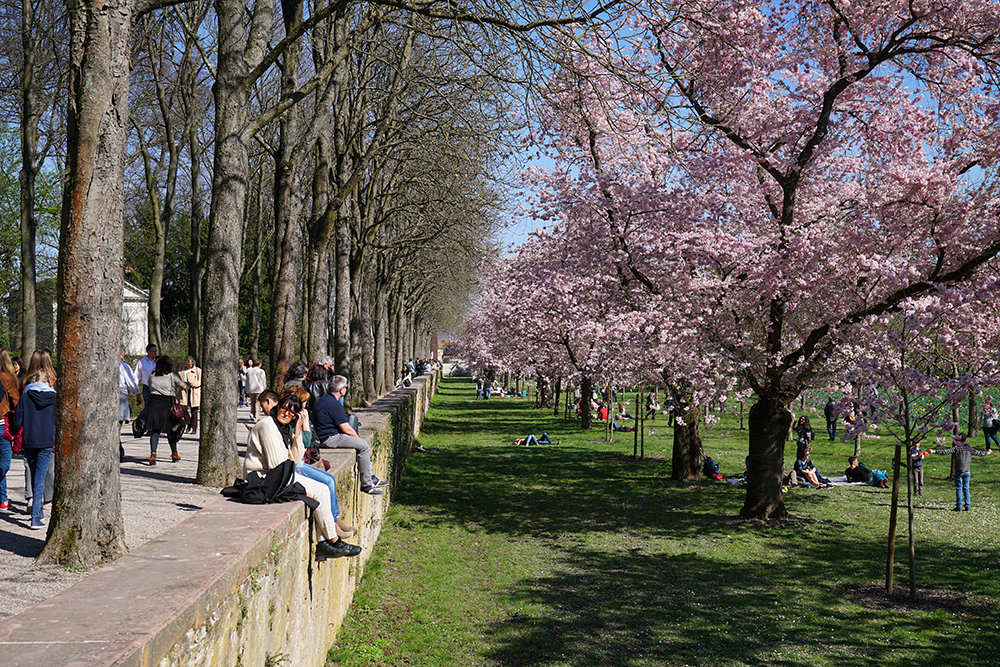 Schlosspark Schwetzingen